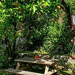 Casa Da Benfeitoria Дом отдыха Гимарайнш